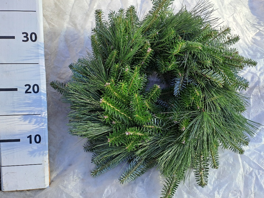 Věnec jedlový s borovicí 30/35 cm