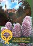 Katalog jehličnanů
