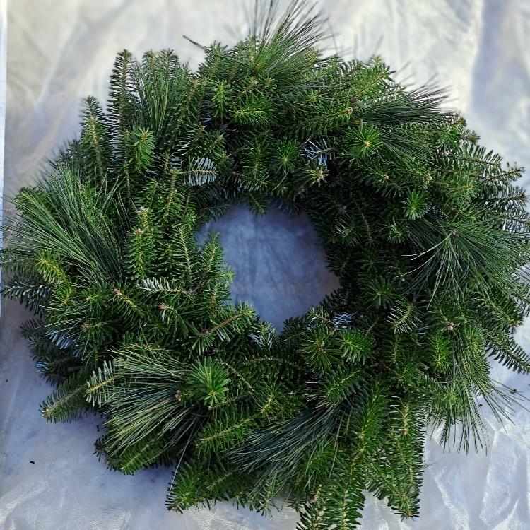 Věnec jedlový s borovicí 35/40 cm
